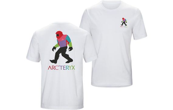 Arcteryx x Bigfoot SV Polychrome T