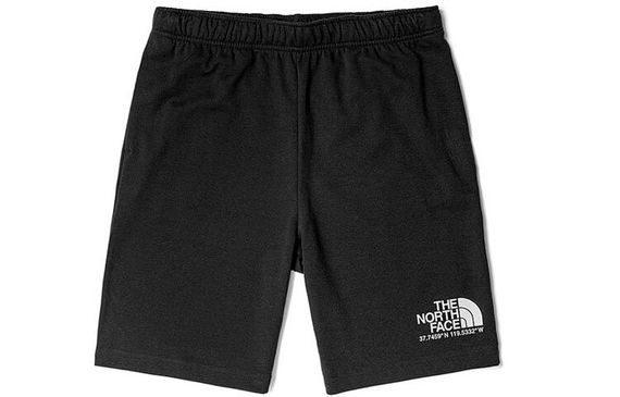 THE NORTH FACE Logo