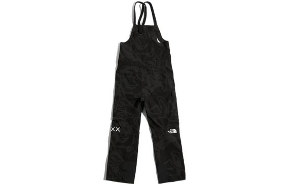 THE NORTH FACE KAWS