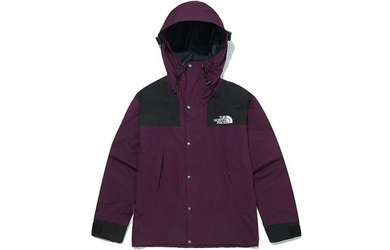 THE NORTH FACE 1990 Mountain