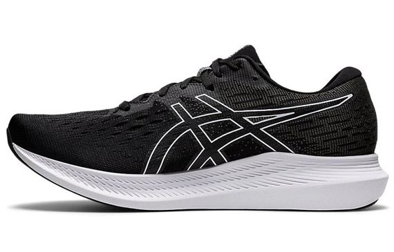 Asics EvoRide 2