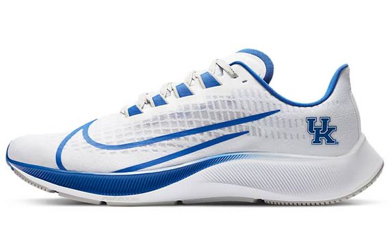 Nike Pegasus 37 Kentucky Air Zoom