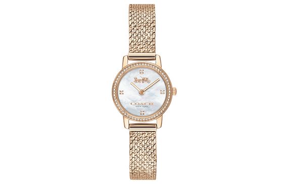 COACH AUDREY 22mm 14503372-1