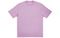 Arcteryx x PALACE PLACE ARC'TERYX Logo T
