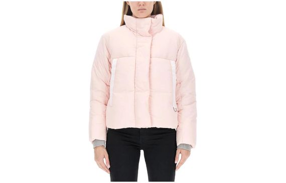Canada Goose Junction
