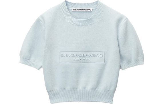 Alexander wang T